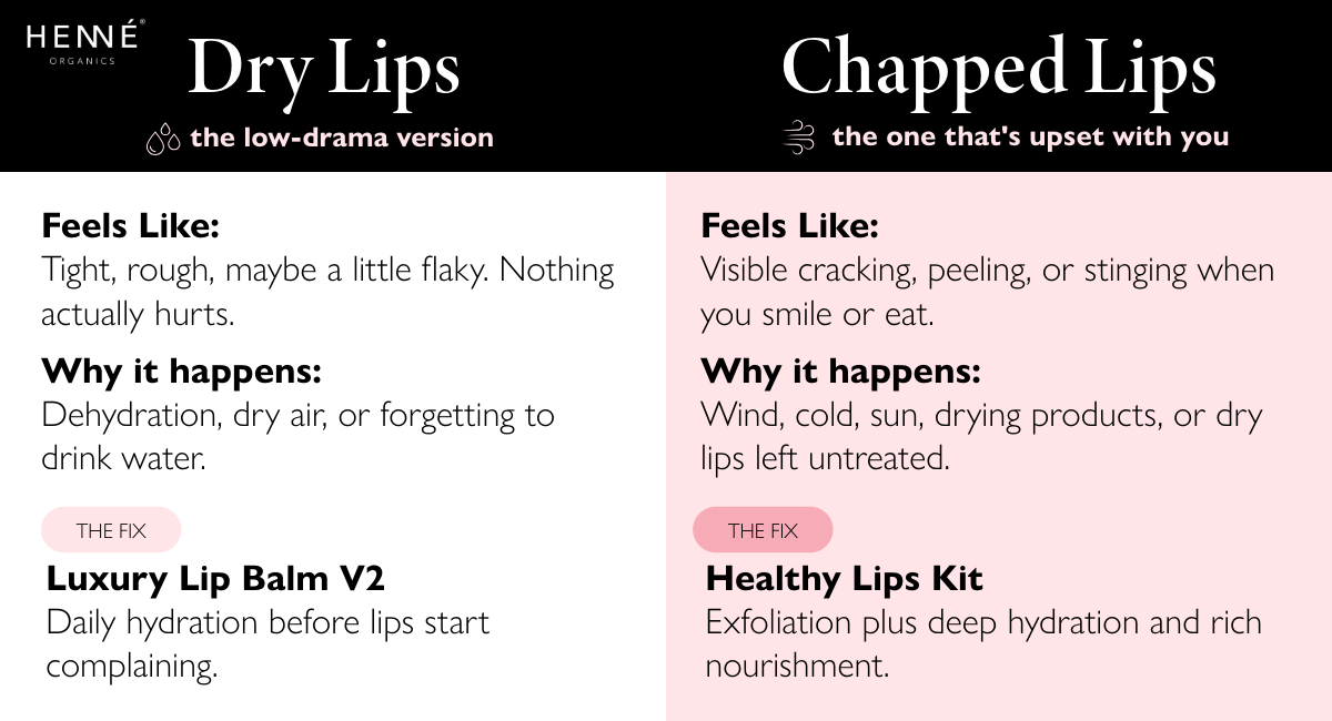 Infographic about chapped vs dry lips
